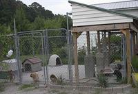 kennel by the cat center